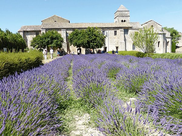 Lavendelblüten im Leinensäckchen – Bild 2